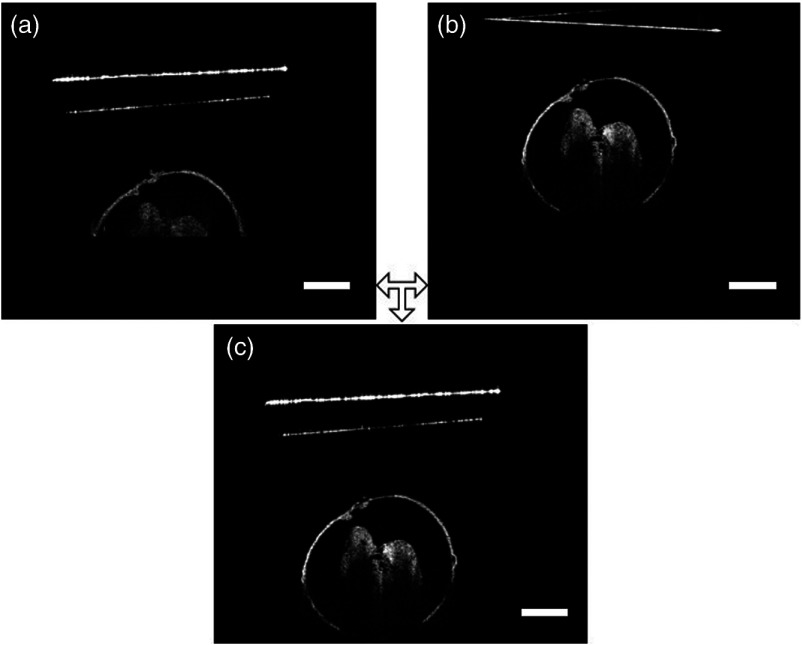 Fig. 3