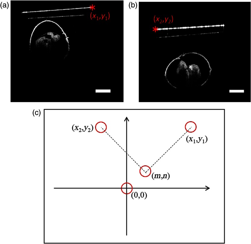 Fig. 4