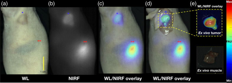 Fig. 3