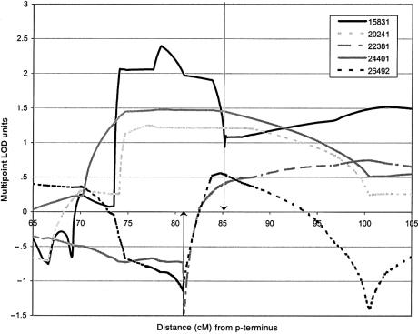 Figure  2