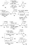Scheme 2