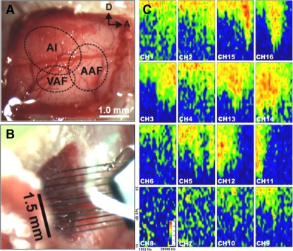 FIG. 2