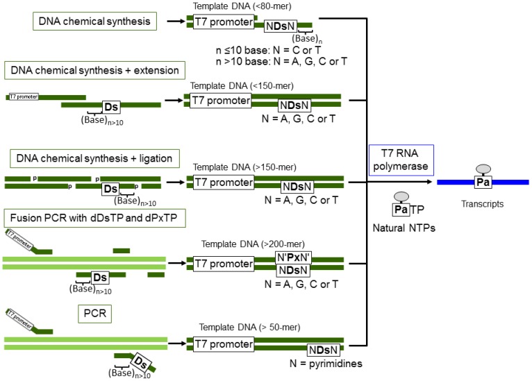 Figure 9