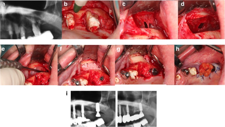 Fig. 7