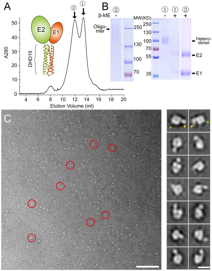 Fig 2