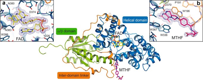 FIGURE 3.