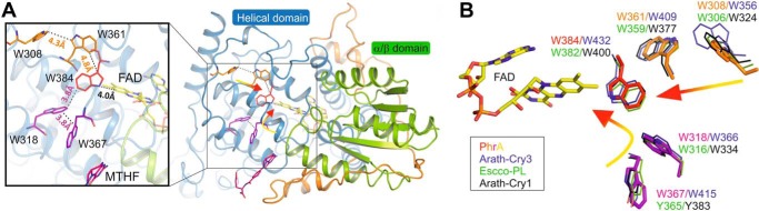 FIGURE 9.