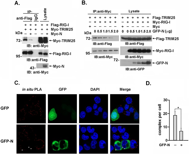 FIG 3