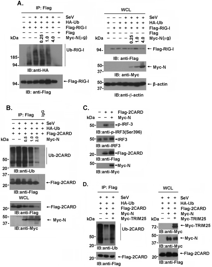 FIG 4