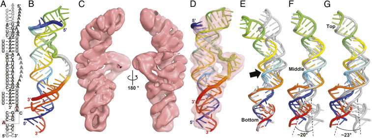 Fig. 7.