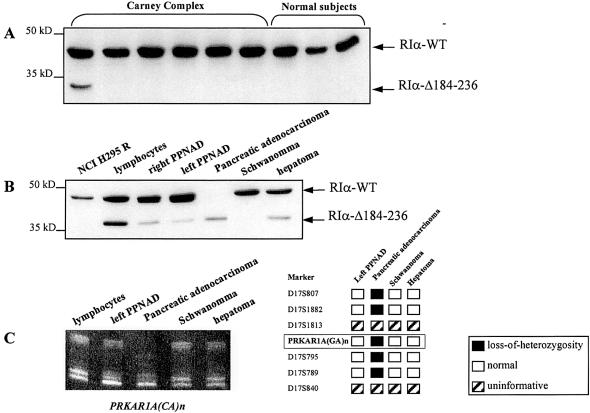 Figure  4