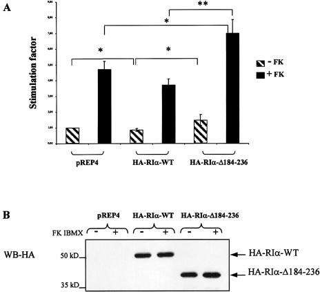 Figure  5