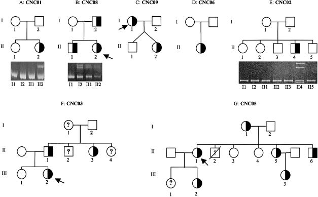 Figure  1