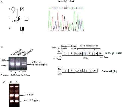 Figure  3