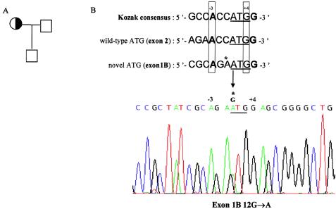 Figure  2