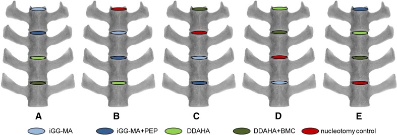 Fig. 1