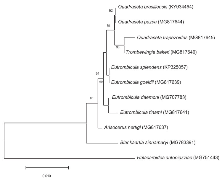 Figure 5