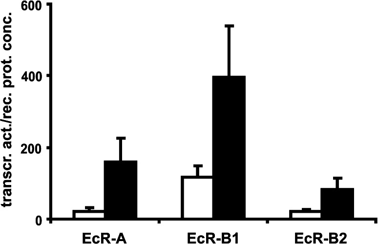 Fig. 3