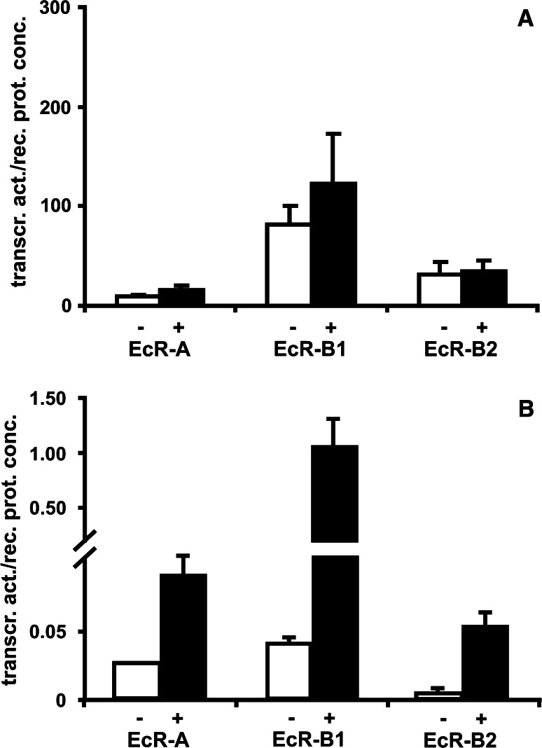 Fig. 2