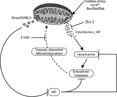 FIG. 6.