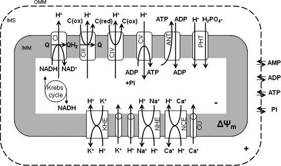 FIG. 3.