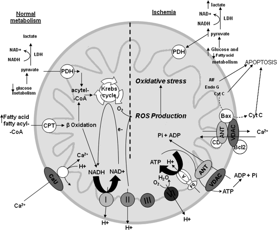 FIG. 11.