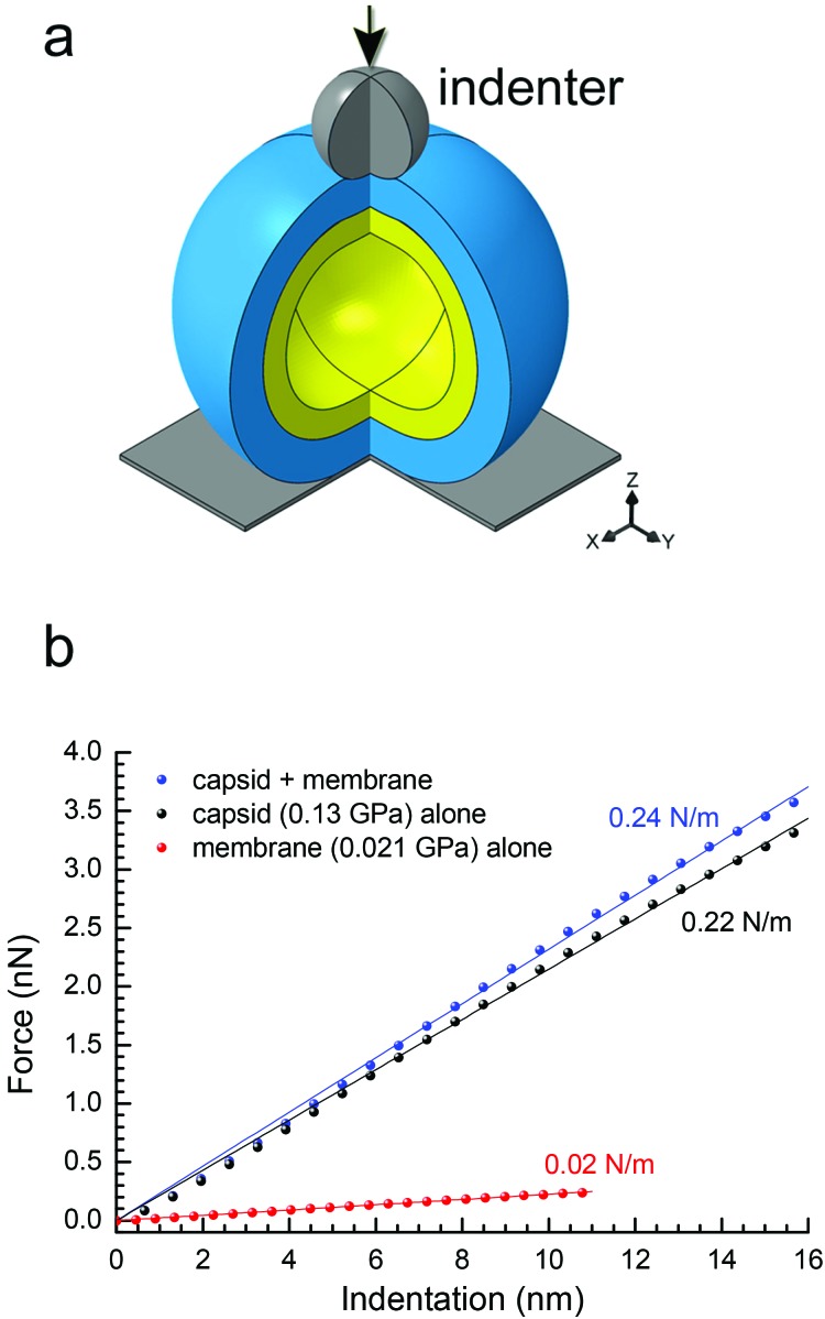 Fig. 4