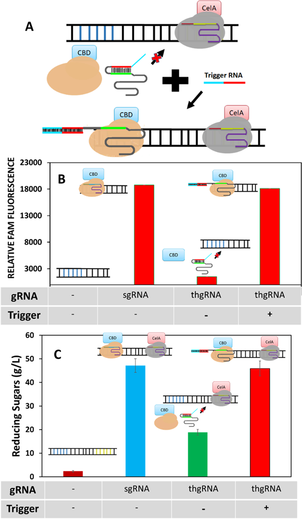 Figure 5.