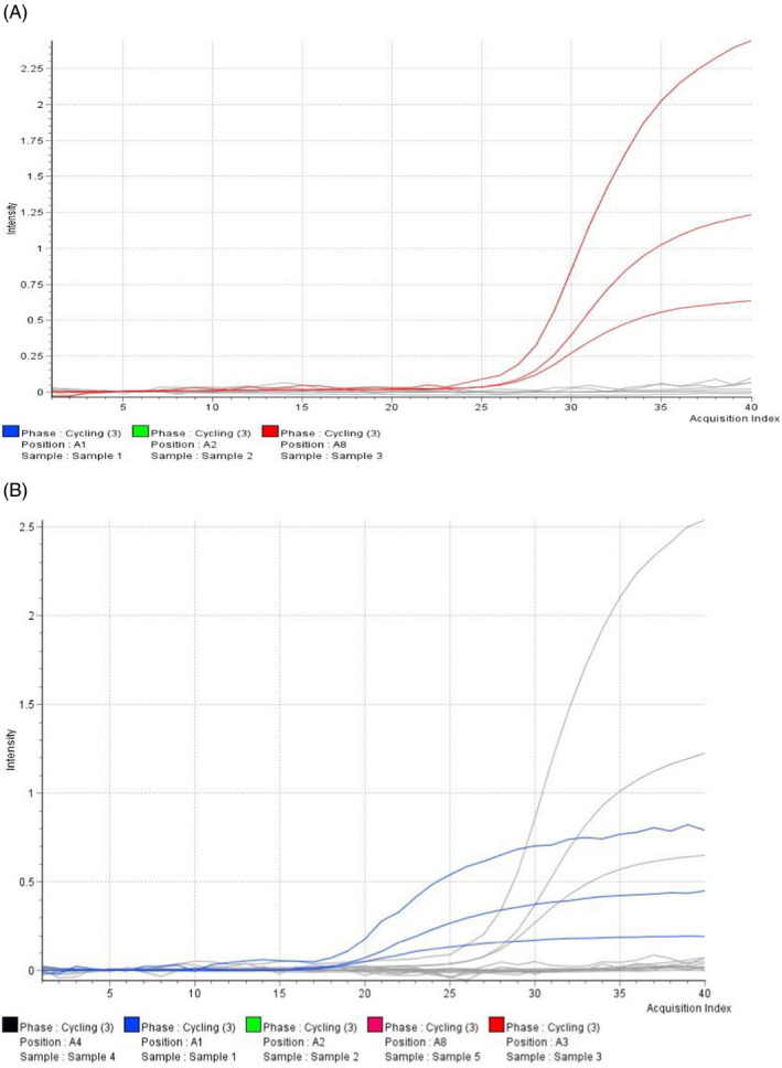 FIGURE 1