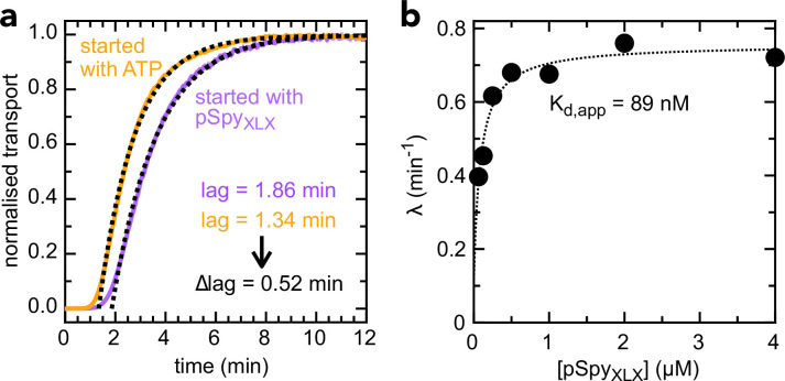 Figure 3—figure supplement 2.