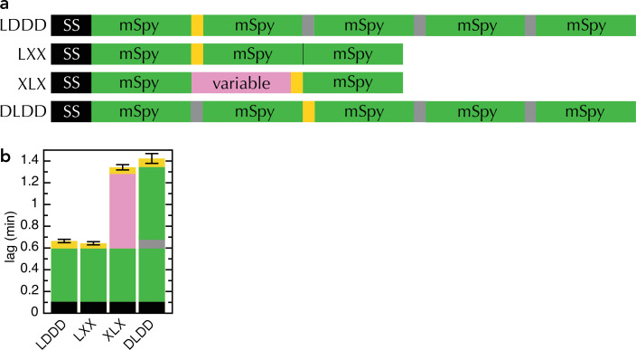 Figure 2—figure supplement 1.