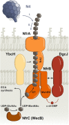 Figure 3.
