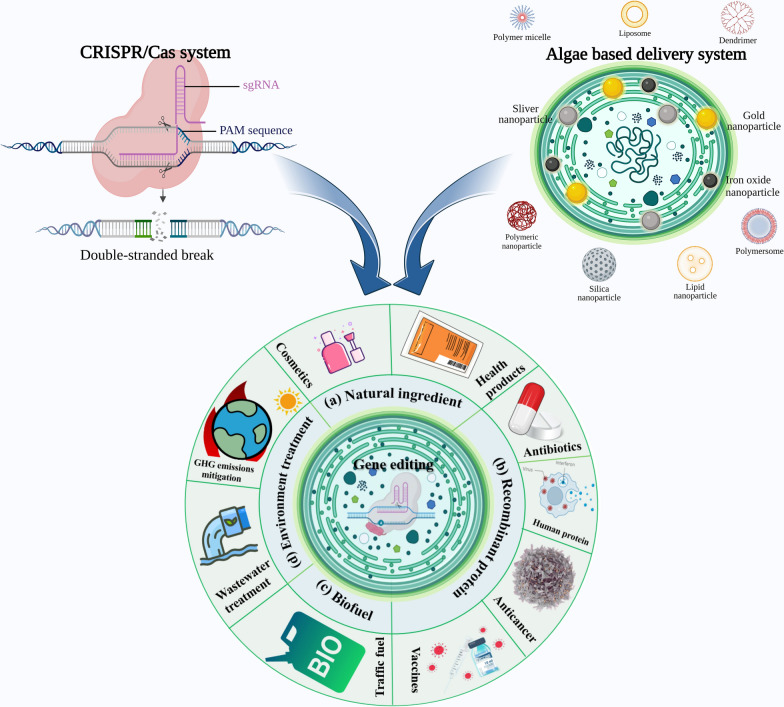 graphic file with name 12951_2023_2139_Figa_HTML.jpg