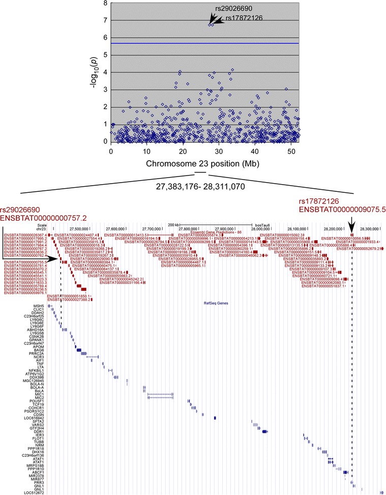 Fig. 3