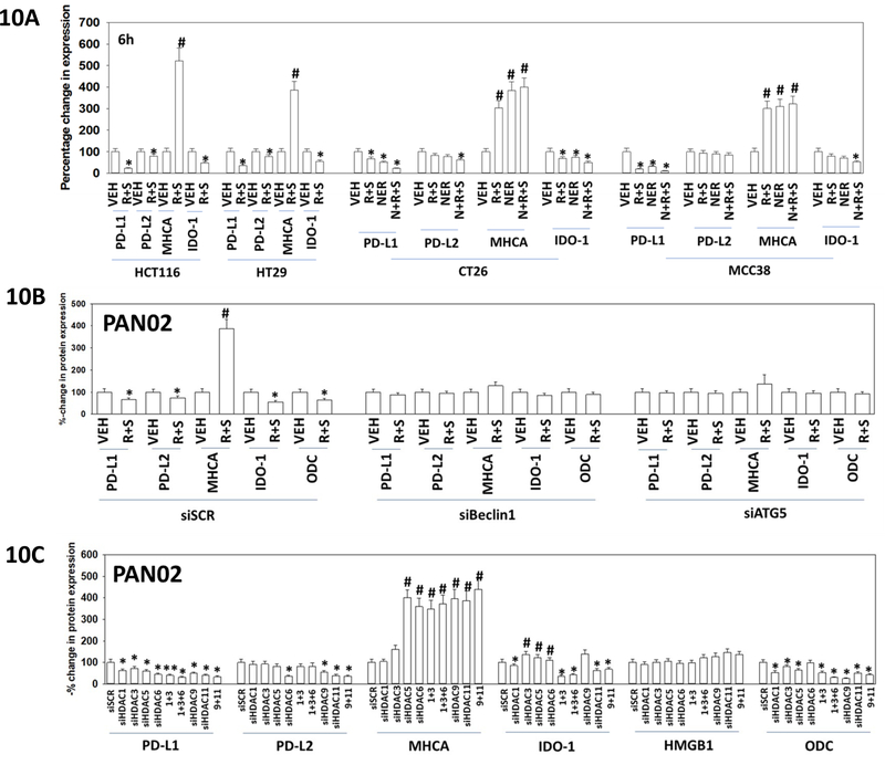 Figure 10.