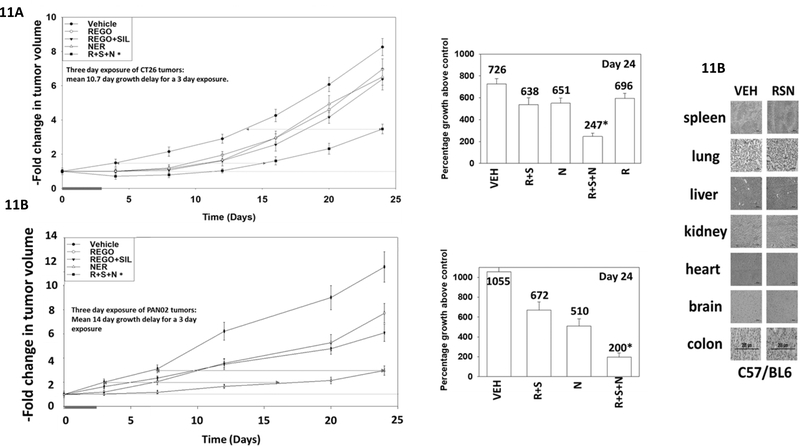 Figure 11.