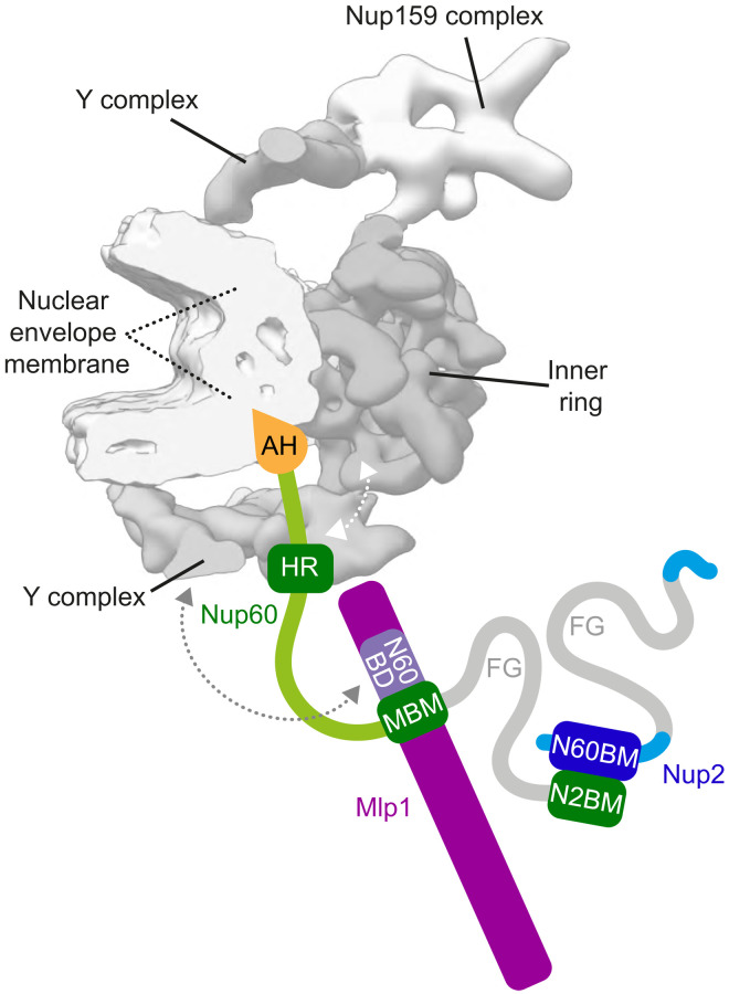 Fig. 6.