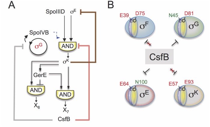 Fig 8