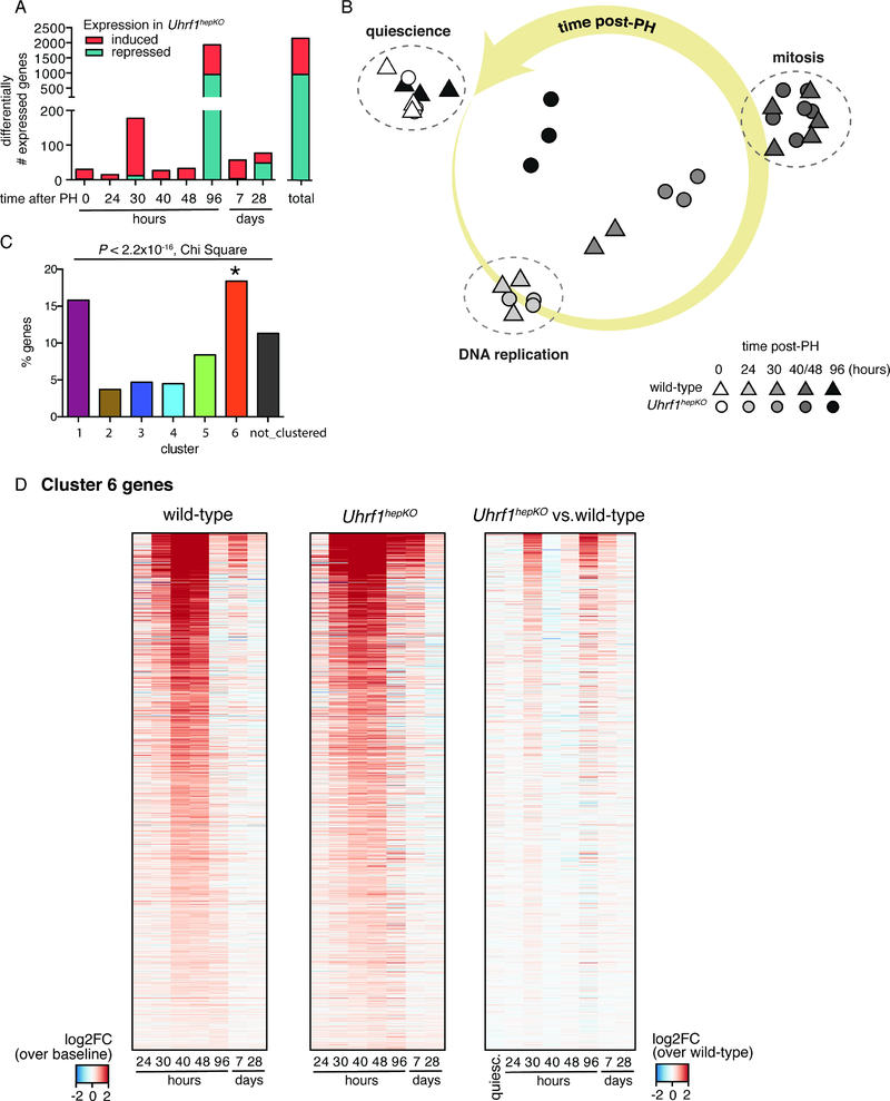 Figure 4: