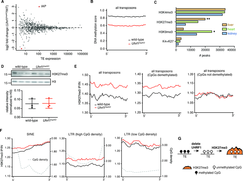 Figure 6: