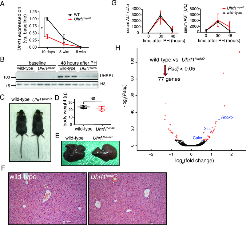 Figure 2: