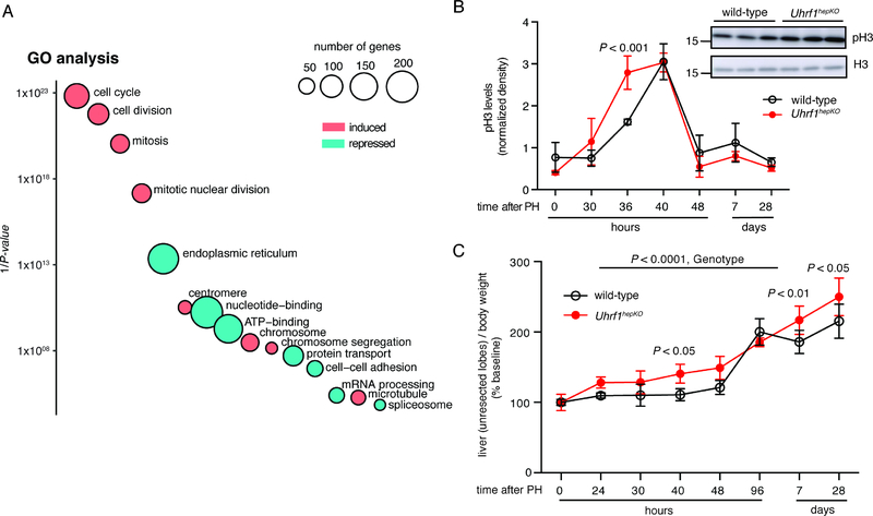 Figure 5: