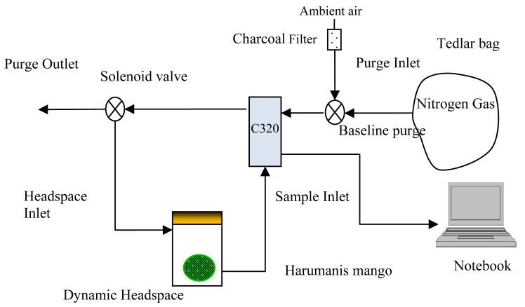 Figure 2.