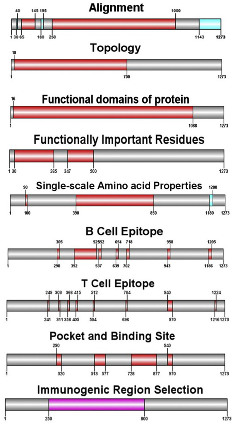 Fig. 12