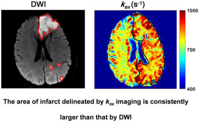 graphic file with name nihms-1628528-f0001.jpg