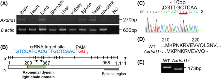 FIGURE 1