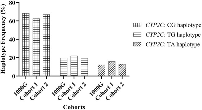 FIGURE 1