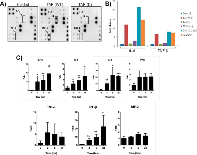 FIGURE 4.