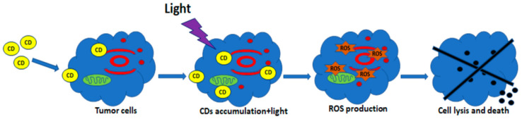 Figure 13