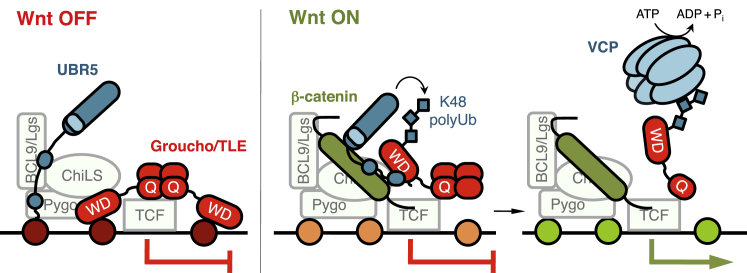 Figure 7